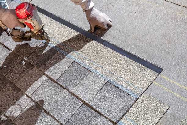 Best Local Roofing Companies  in Adel, GA